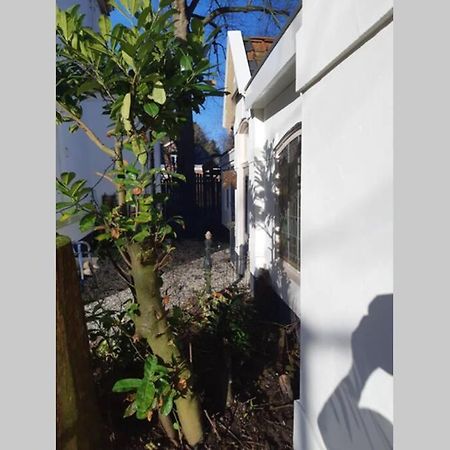 Overnachten in Oranjerie, 7 km onder Groningen Paterswolde Exterior foto
