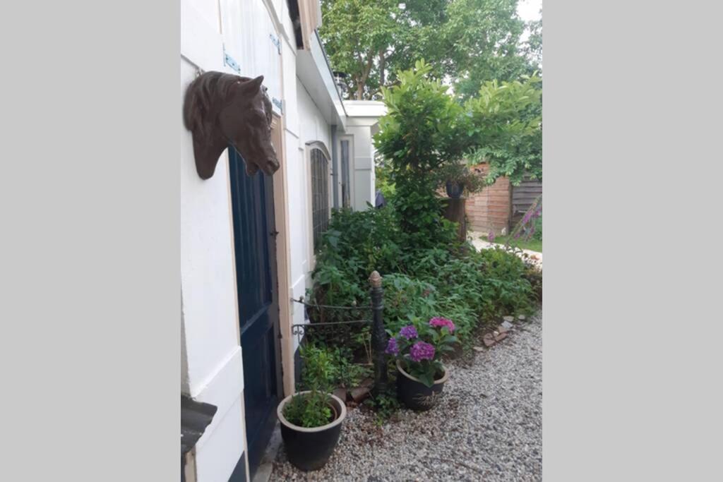 Overnachten in Oranjerie, 7 km onder Groningen Paterswolde Exterior foto