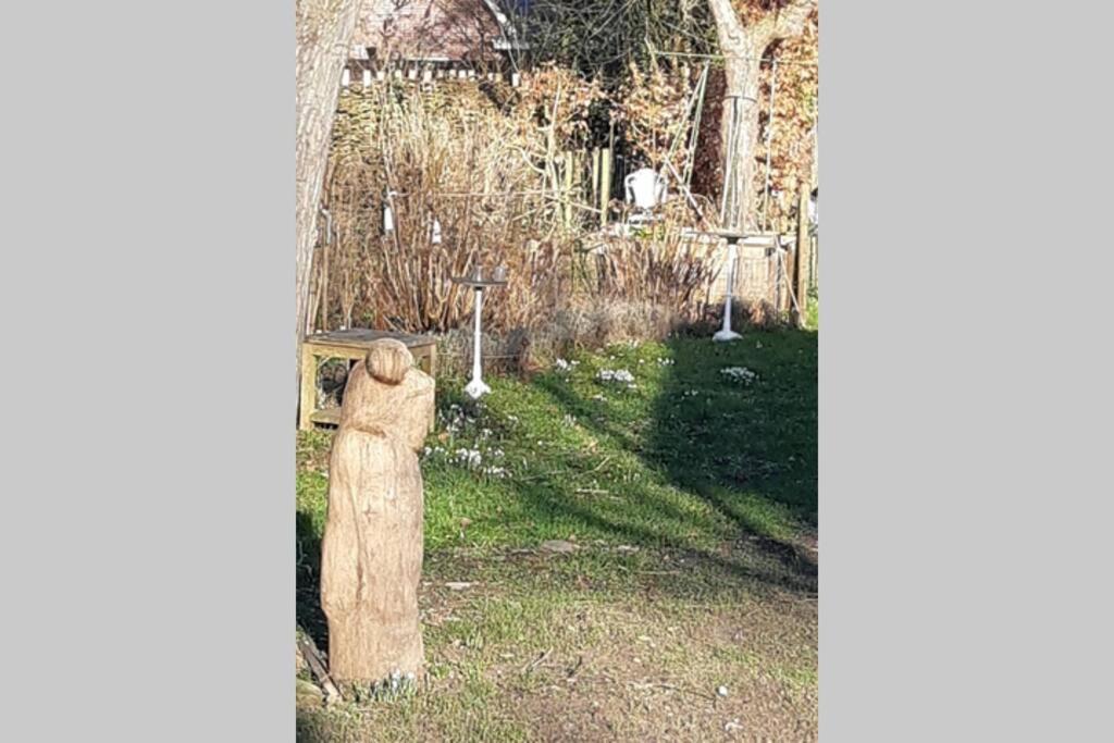 Overnachten in Oranjerie, 7 km onder Groningen Paterswolde Exterior foto