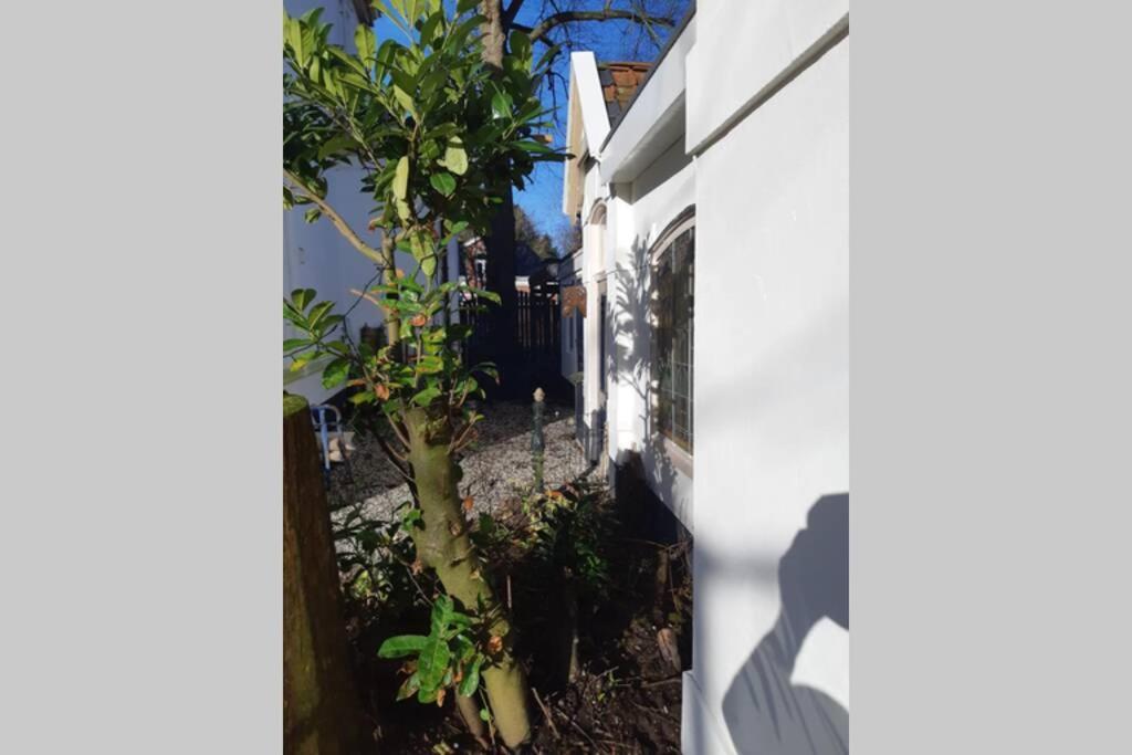 Overnachten in Oranjerie, 7 km onder Groningen Paterswolde Exterior foto